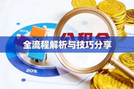 双城全流程解析与技巧分享